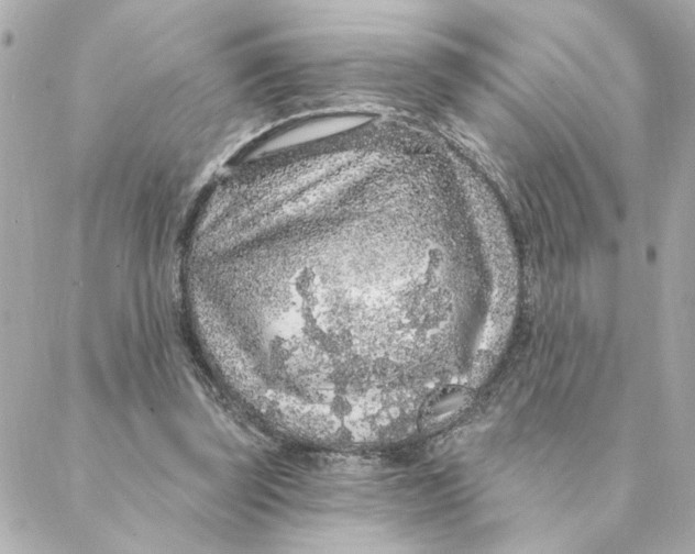 X0000088180347200706051147