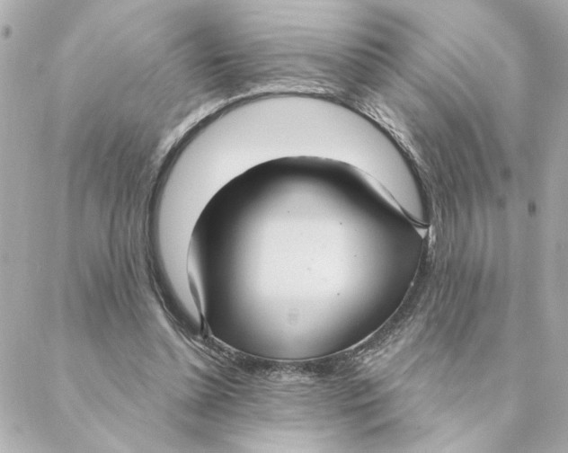 X0000088180348200706051147