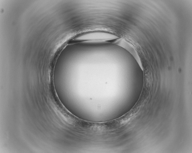 X0000088180350200706051147