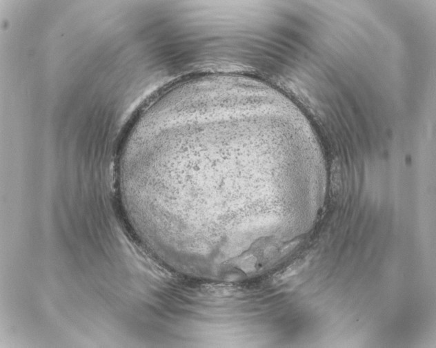 X0000088180351200706051147