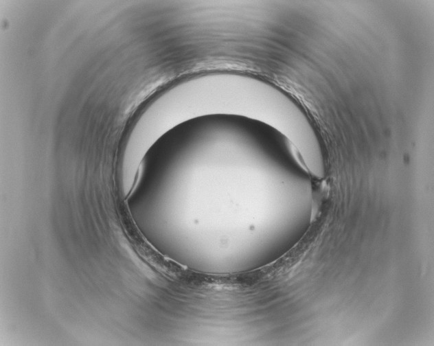 X0000088180352200706051147