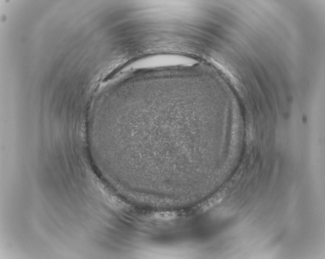 X0000088180353200706051147