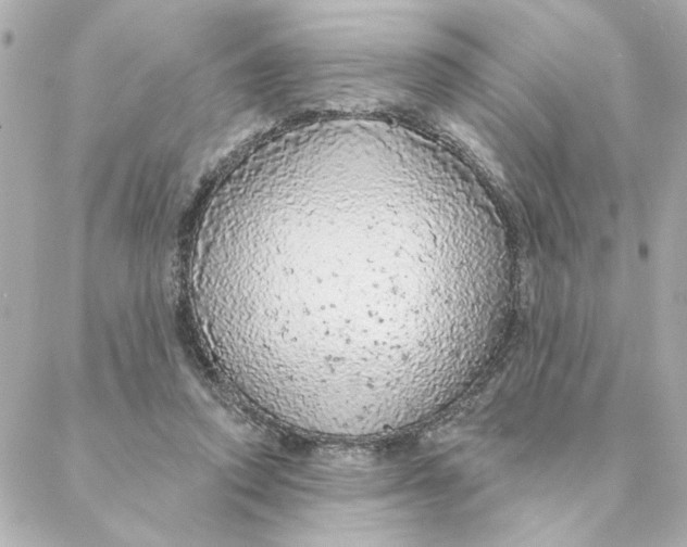 X0000088180354200706051147