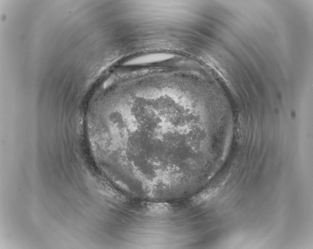 X0000088180355200706051147