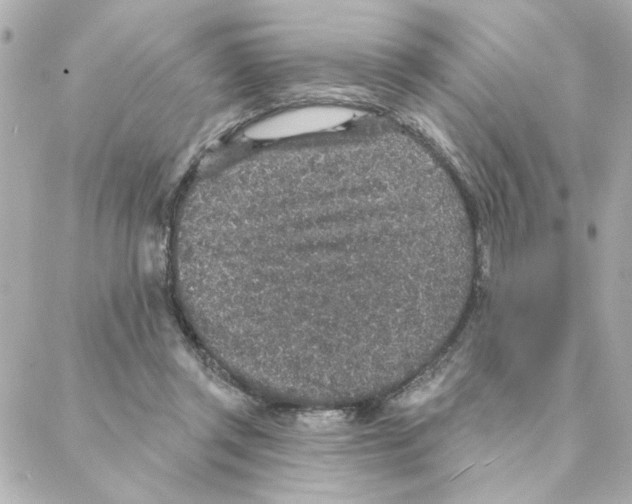 X0000088180357200706051147