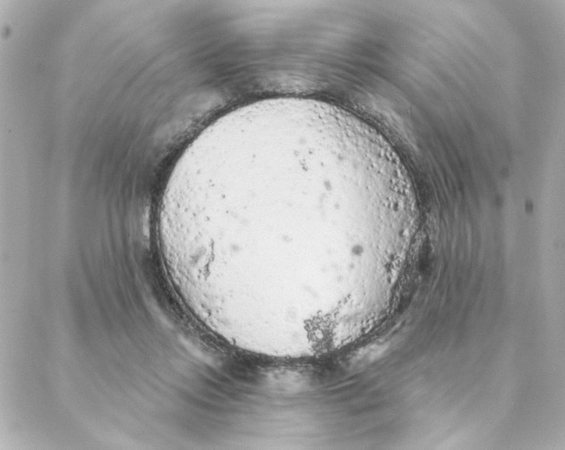 X0000088180358200706051147