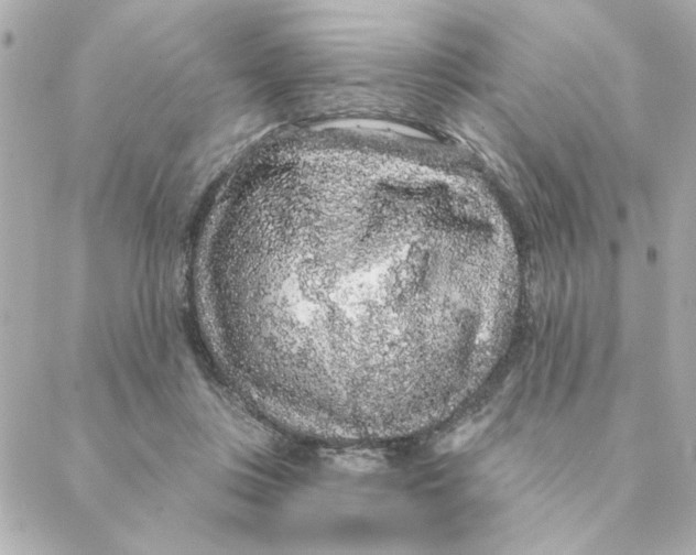 X0000088180359200706051147