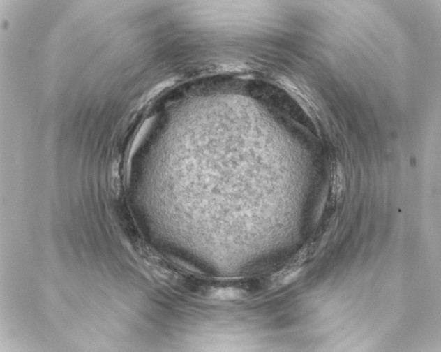 X0000088180360200706051147