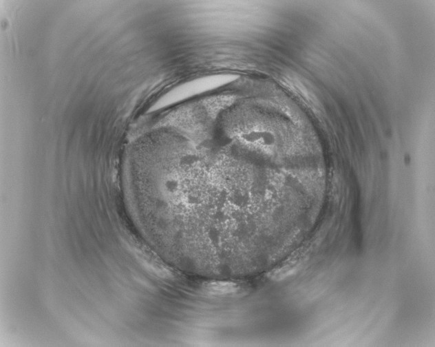 X0000088180361200706051147