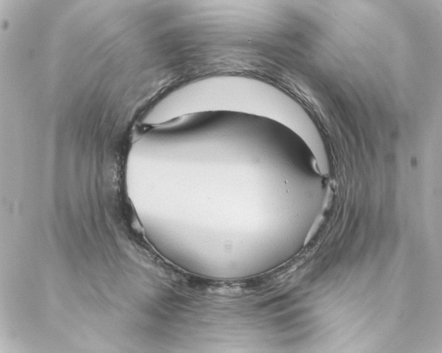 X0000088180362200706051147