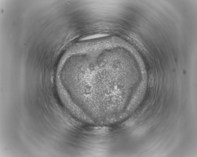 X0000088180363200706051147