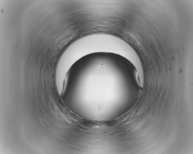 X0000088180364200706051147