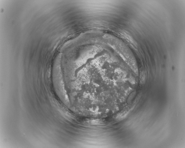 X0000088180365200706051147