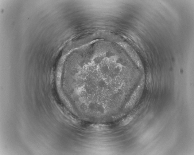 X0000088180367200706051147