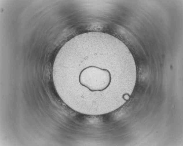 X0000088180370200706051147