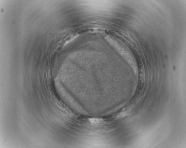 X0000088180371200706051147