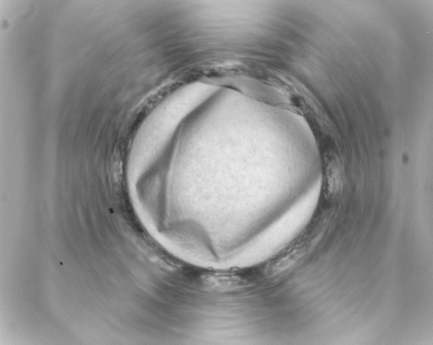 X0000088180372200706051147