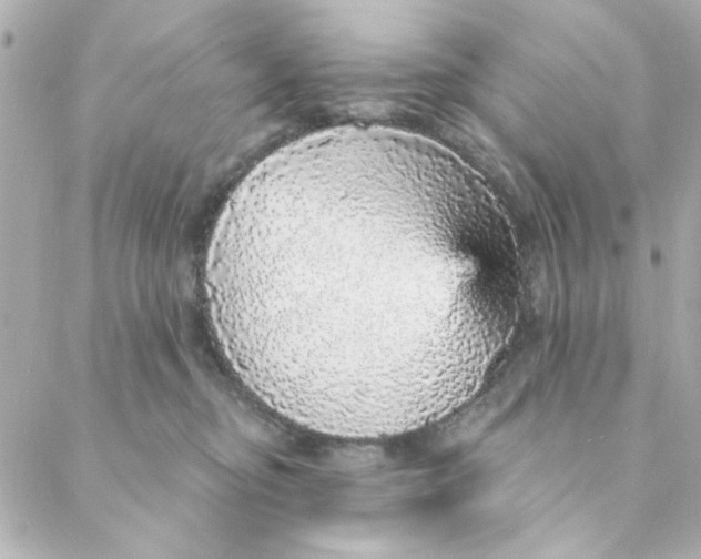 X0000088180374200706051148