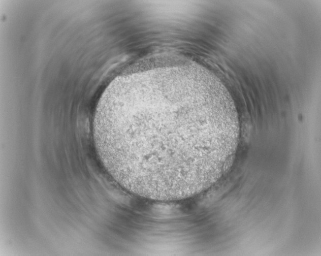 X0000088180375200706051148