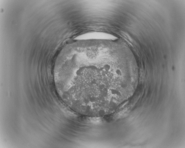 X0000088180377200706051148