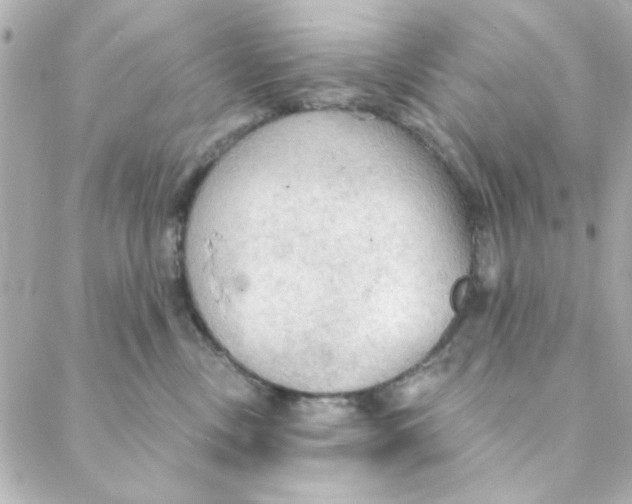 X0000088180378200706051148