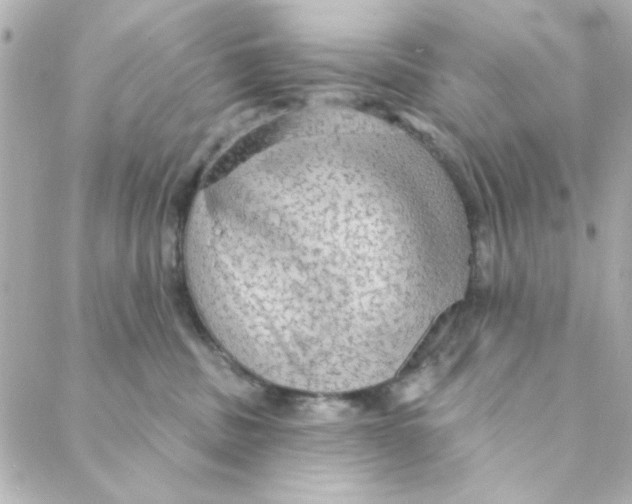 X0000088180379200706051148