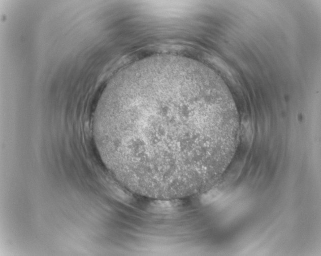 X0000088180381200706051148