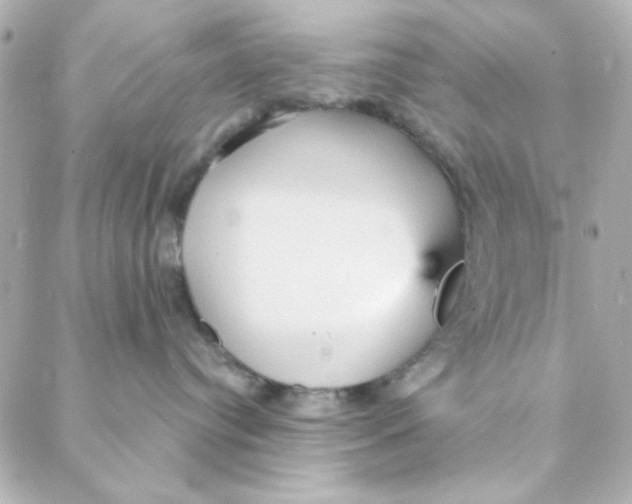 X0000088180384200706051148