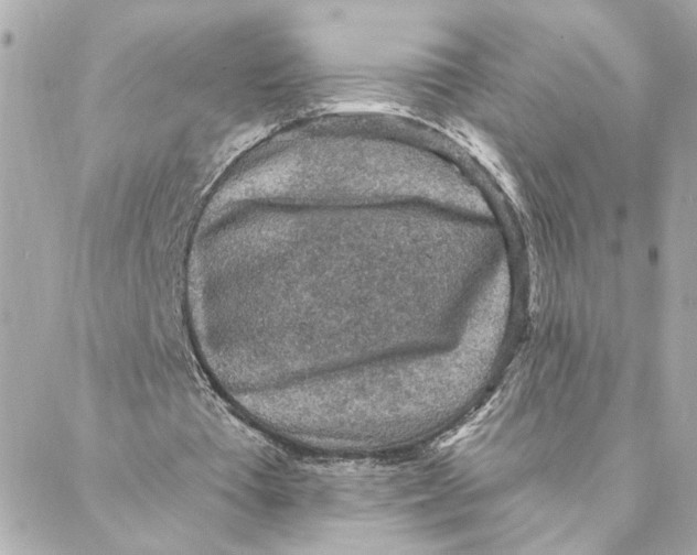 X0000088180385200706051147