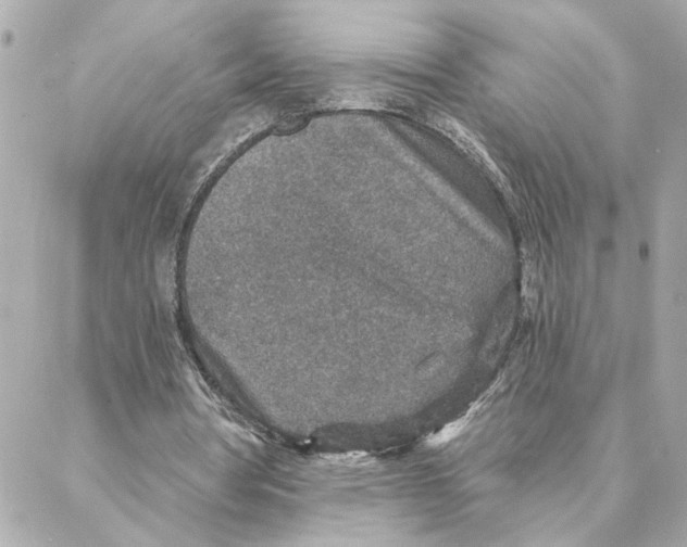 X0000088180386200706051147