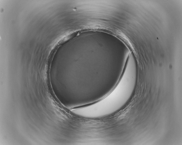 X0000088180387200706051147