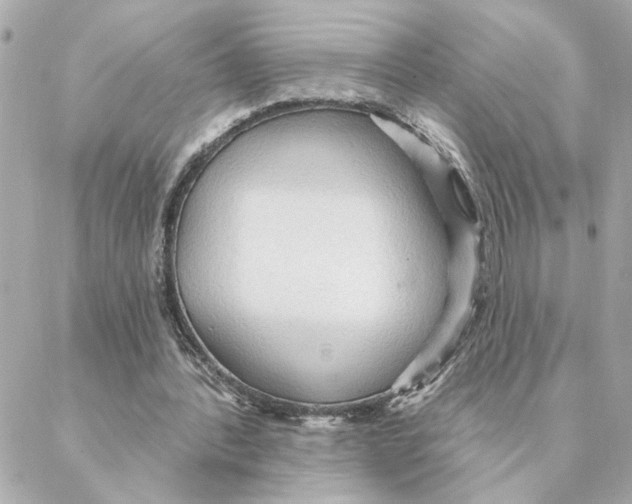 X0000088180388200706051147