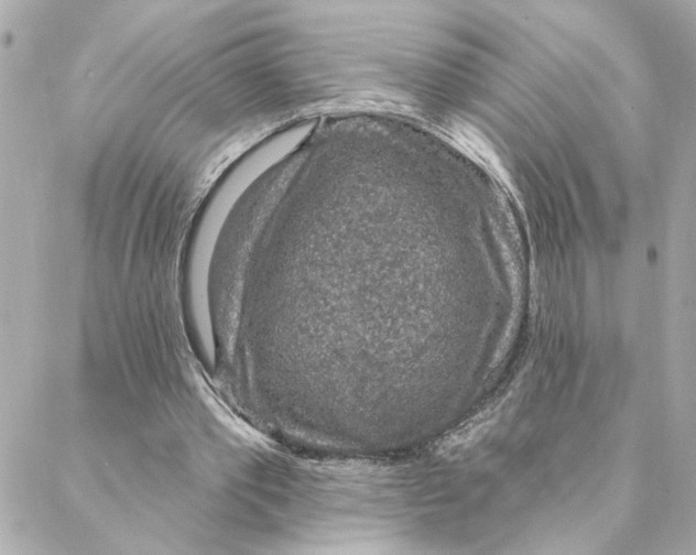 X0000088180389200706051147