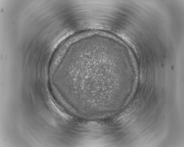 X0000088180390200706051147