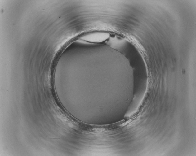 X0000088180391200706051147