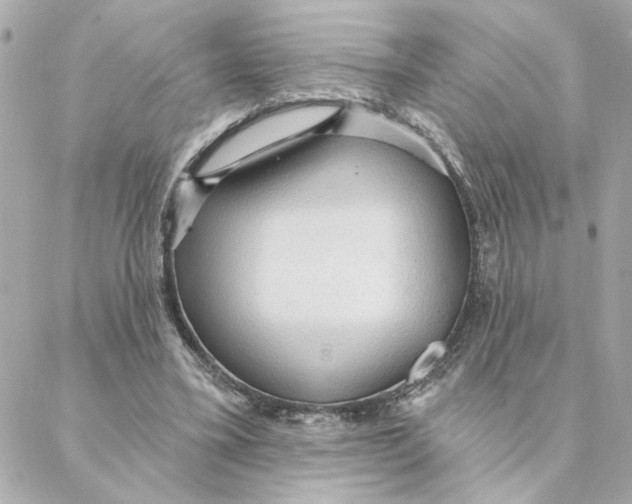 X0000088180395200706051147