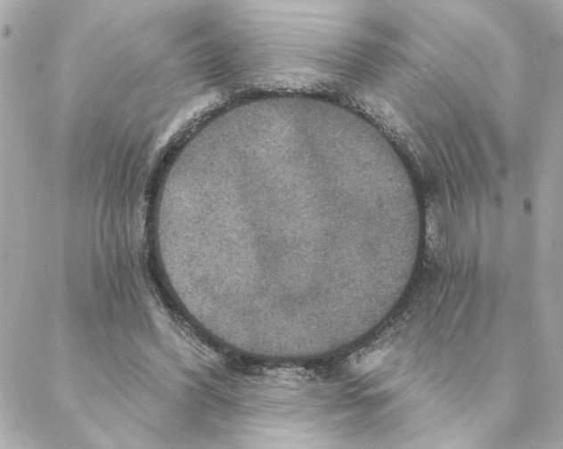 X0000088180396200706051147