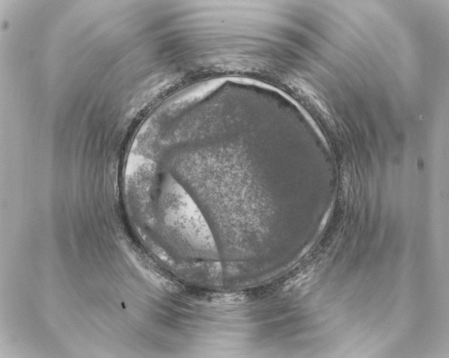 X0000088180398200706051147