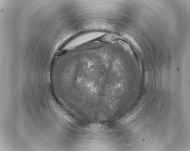 X0000088180399200706051147