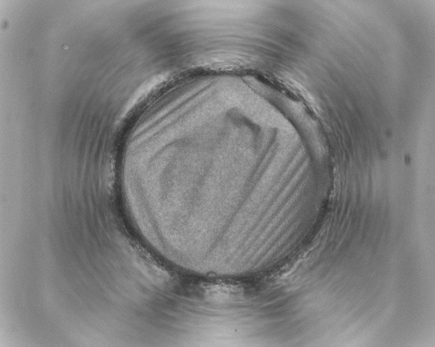 X0000088180400200706051147