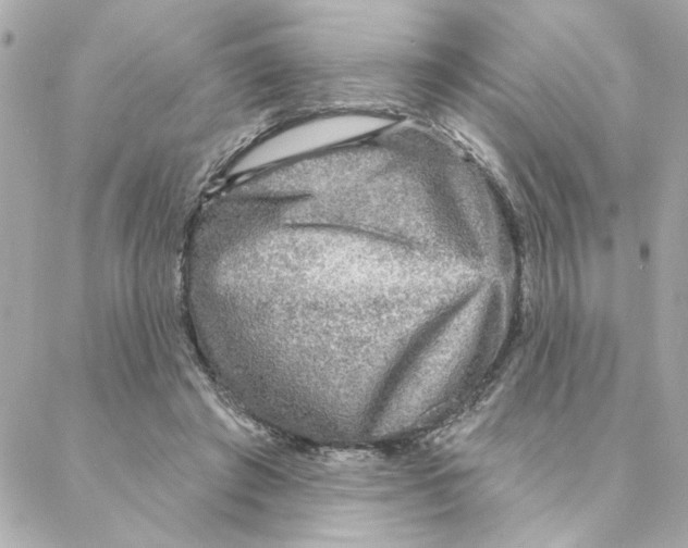 X0000088180401200706051147