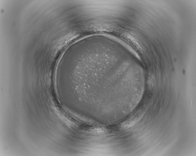 X0000088180402200706051147