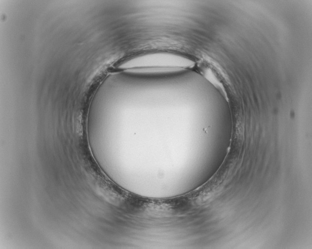 X0000088180403200706051147