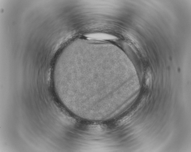 X0000088180404200706051147