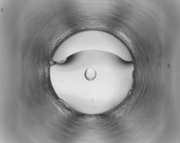 X0000088180405200706051147