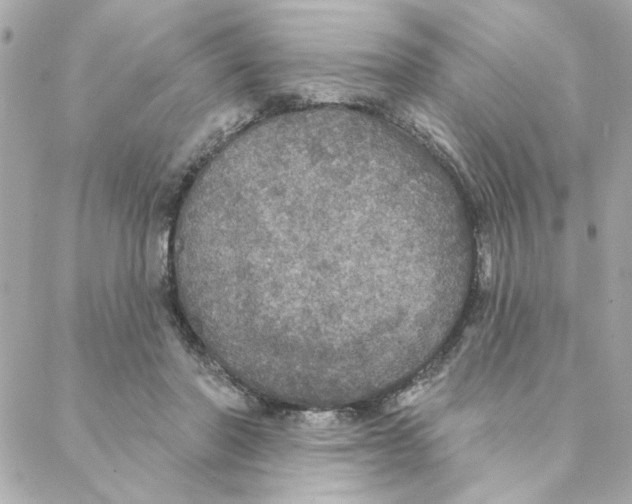 X0000088180406200706051147