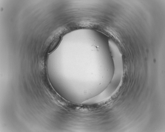 X0000088180407200706051147