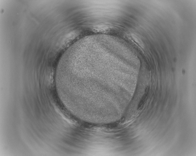 X0000088180408200706051147