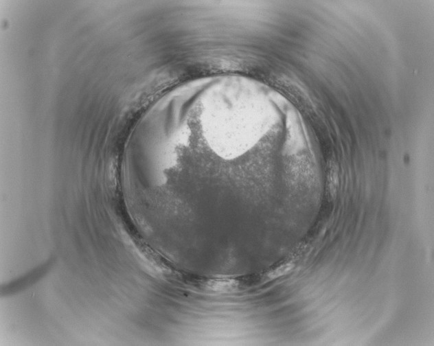 X0000088180410200706051146