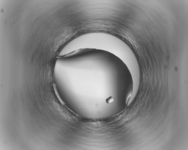 X0000088180411200706051146